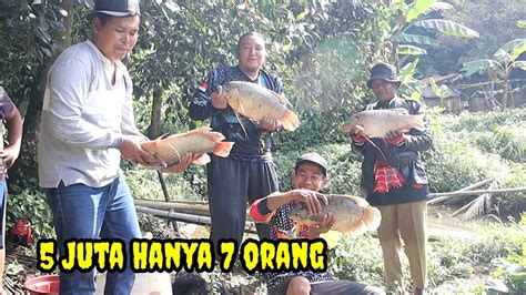 MANCING BORONGAN GURAME BABON 5 JUTA 7 ORANG YouTube