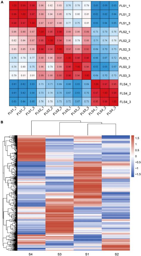 Frontiers Global Transcriptome Analysis Revealed The Molecular