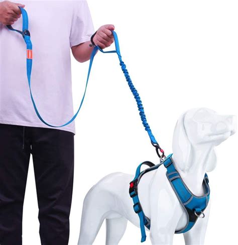 How To Put On A Dog Harness The Right Way Step By Step All Things