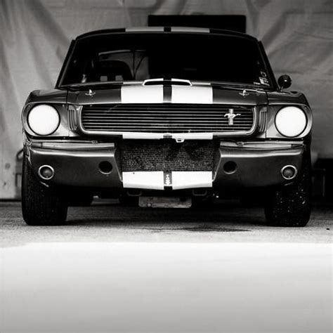 Black and White Striped Car