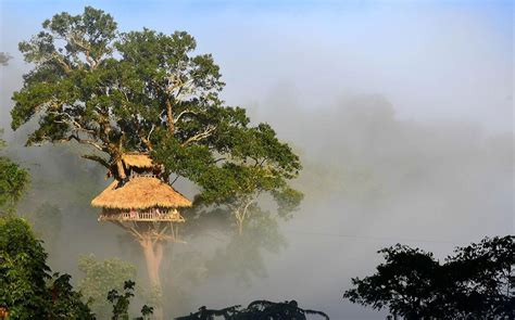 9 Tree Houses You Can Actually Sleep In | National Geographic