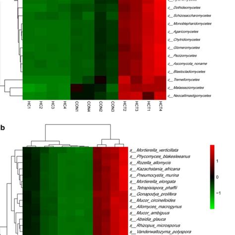 Hierarchical Clustering Analysis Hca And Heat Map Analysis On