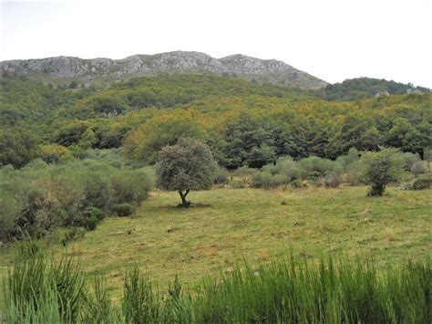 Recorriendo las montañas de Asturias Cerro Pedroso Vega Cercada La