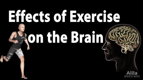 Effects Of Exercise On The Brain Animation Youtube