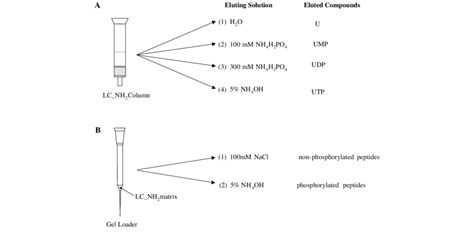 A Procedure Of Separation Of Nucleosides And Nucleotides By Download Scientific Diagram