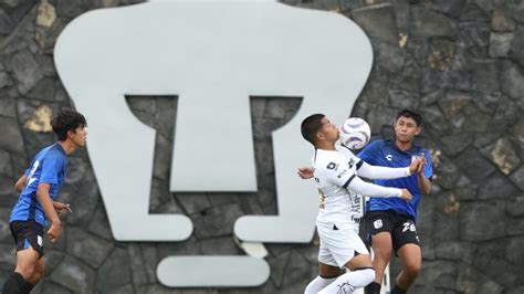 La Cantera De Pumas En Crisis Clarosports