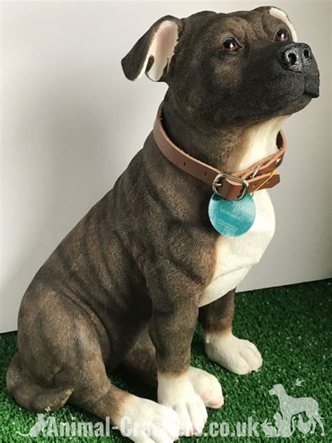 Extra Large 26cm Staffy Staffordshire Bull Terrier Ornament From The L