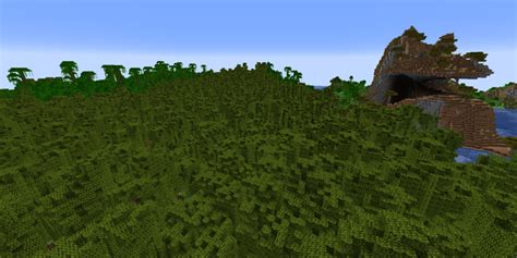 10 Best Minecraft Seeds For Mangrove Swamps