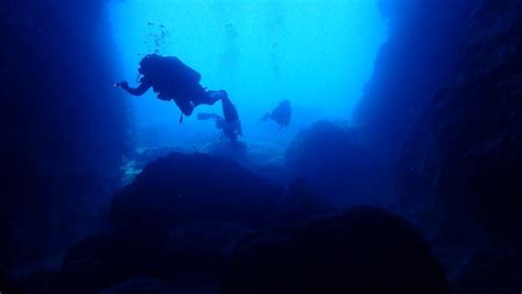 dive trip  boat azure diving center