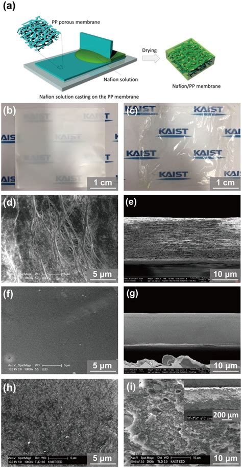 A Schematic Of The Nafion Pp Membrane Fabrication Process Optical