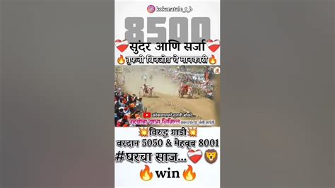 सुंदर आणि सर्जा तुफानी बिनजोड चे मानकरी 💥💯🔝👑 ️‍🔥 मथुर बकासुर Mathur