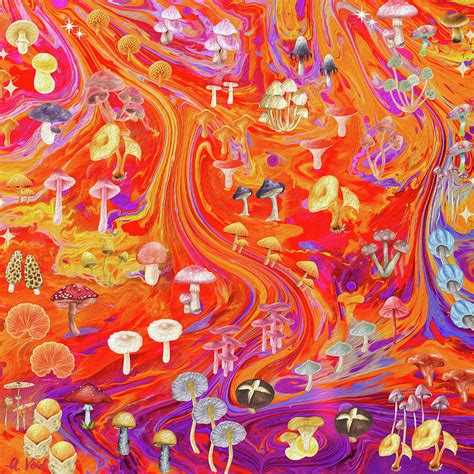 Trippy Mushroom Ride Mixed Media By Cat Wilson Fine Art America