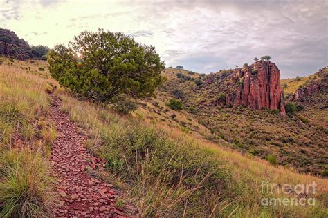 A Great Day for a Hike - Indian Lodge Trail Davis Mountains State Park ...