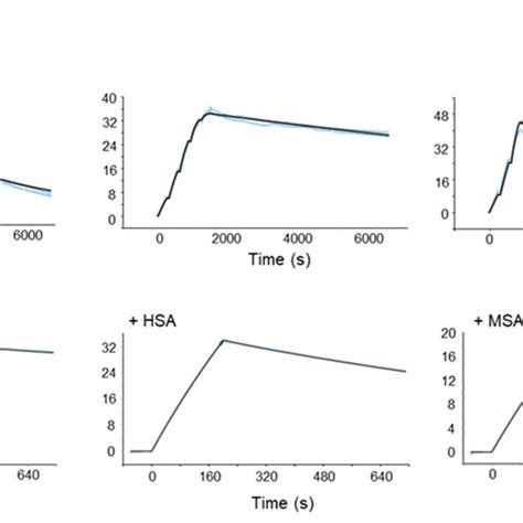 A Single Cycle Kinetics Spr Sensorgrams Showing Pep40233