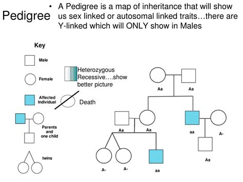 Ppt Genetic Diseases Powerpoint Presentation Free Download Id6007687