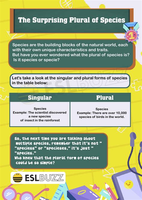 Plural of Species: Rules and Examples - ESLBUZZ