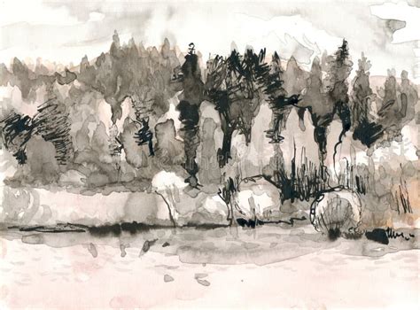 An Hand Drawn Illustration Scanned Picture Forest And Trees