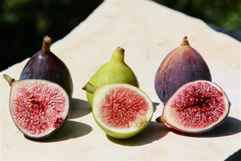 Comparing Fresh Fig Varieties | Bakepedia Tips