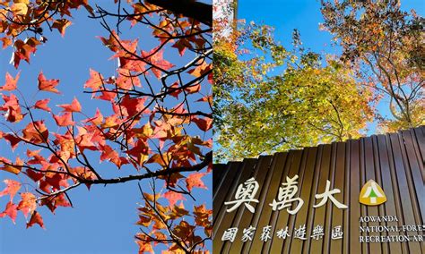 台灣最夯賞楓景點！到奧萬大國家公園玩四季，春櫻、夏瀑、秋月、冬楓美不勝收！ Yahoo奇摩時尚美妝