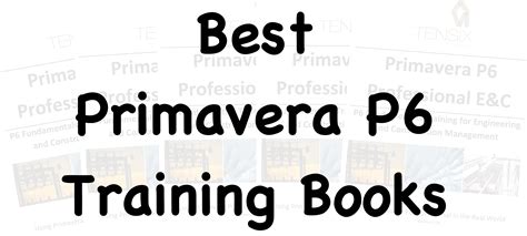 Best Primavera P6 Training Books - Ten Six