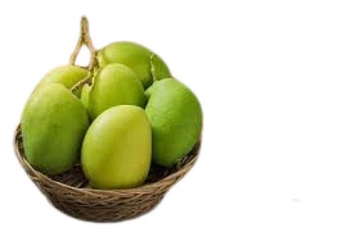 Common Green Mango At Best Price In Coimbatore Tamil Nadu Asb Agency