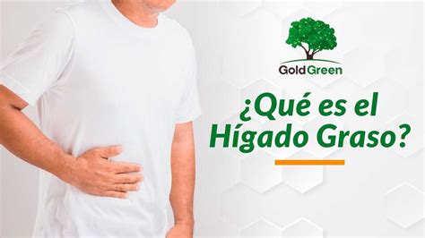 Como Curar El Higado Graso Gold Green Tratamientos