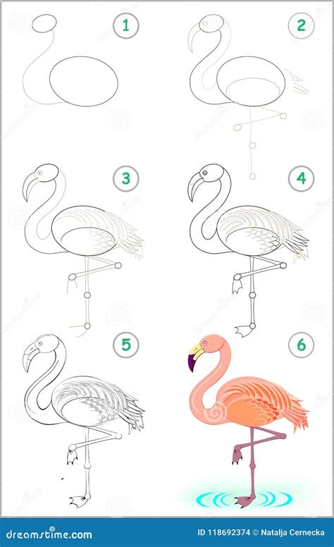 Page Shows How To Learn Step By Step To Draw A Cute Flamingo