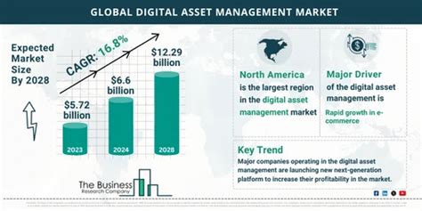 Digital Asset Management Market Size Share Trends And Growth Report 2033