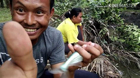 Mancing Disini Strike Ikan Patin YouTube