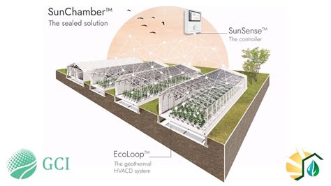 The Future Of Cannabis Cultivation Is Bright Insights In Sealed