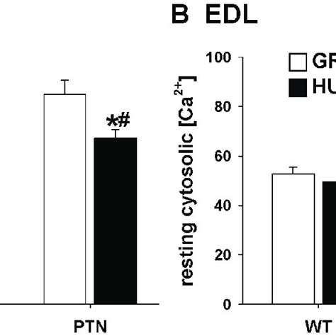 Muscle Fiber Typing Of Wild Type And PTN Overexpressing Mice After 14