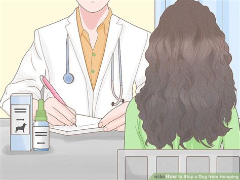 how to stop dog from humping