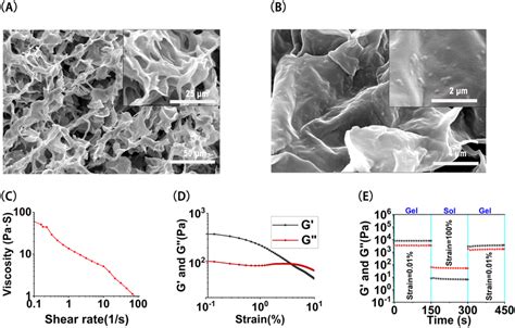 Characterization Of Nanoparticle Hydrogel Composite A The Scanning