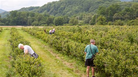 Örtliche Produckte Ferme Tritter Radfahren im Elsass