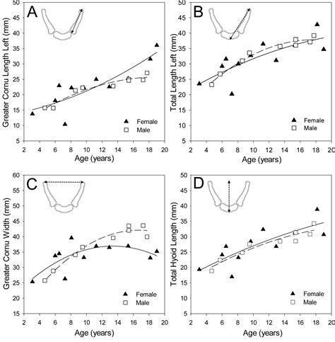 Hyoid Bone Development An Assessment Of Optimal Ct Scanner Parameters And Three‐dimensional