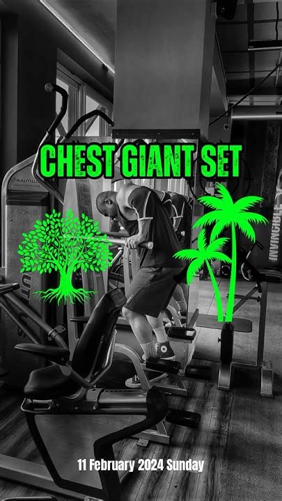 Ashim Chest Giant Set Pec Deck Parallel Bar Dips And Hs Chest Press