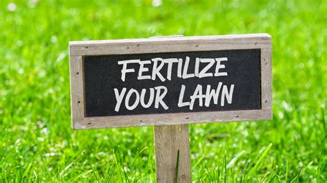 Fertilizer Faqs J C Lawn Care