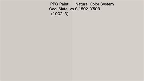 PPG Paint Cool Slate 1002 3 Vs Natural Color System S 1502 Y50R Side