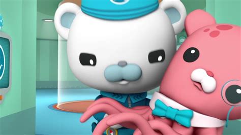 Watch Octonauts: 3×3 Online For Free – Bthwood Movies