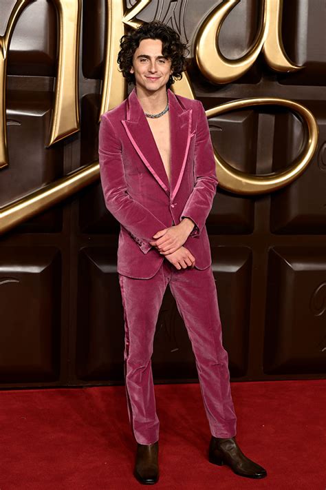 Timothée Chalamet Wore Tom Ford To The 'Wonka' London Premiere