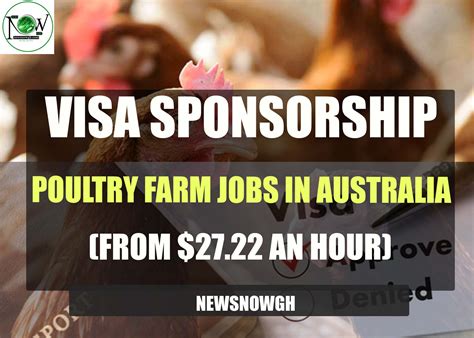 Visa Sponsorship Poultry Farm Jobs In Australia From An Hour