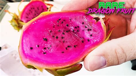 Ax Dragon Fruit Review I Taste And Brix Score This Amazing Dragon