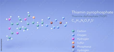 thiamine pyrophosphate, molecular structures, Thiamine diphosphate, 3d ...