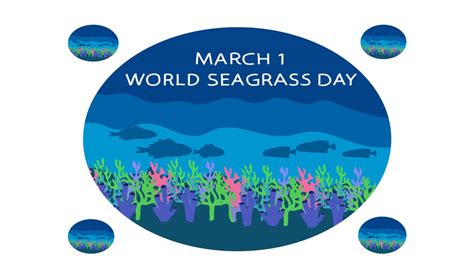 World Seagrass Day 2024