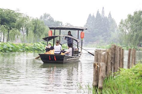 好看！好吃！好玩！沿湖村渔文化节启动 乡村旅游 扬州市 渔家 新浪新闻