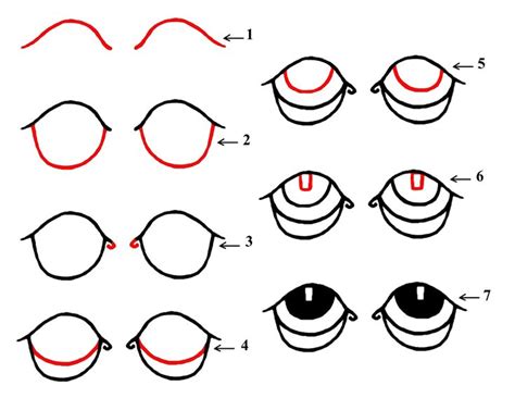 how to draw cartoon eyes | Cartoon drawings, Drawings, Cartoon eyes