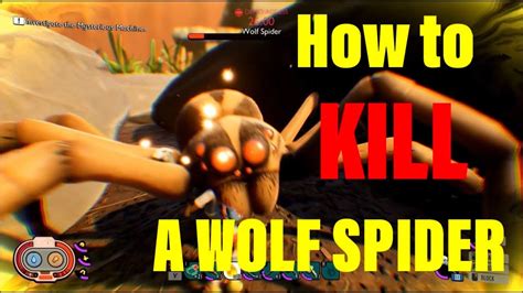 How To Kill A Wolf Spider Grounded