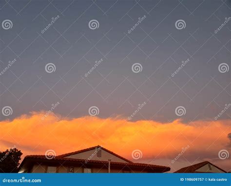 Thick Orange Business Cards With A Rounded Corner Flying Stock Photo