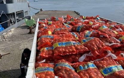 BOC Seizes P18 M Smuggled Onions In Zamboanga City Philippine News Agency