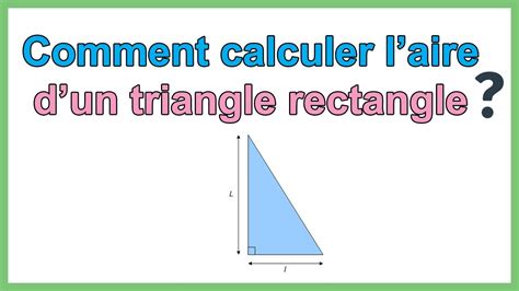 Comment Calculer L Aire D Un Triangle Rectangle Formule Youtube